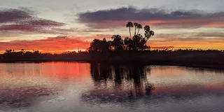 Crystal River Sunset Cruise