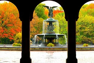 New York City Central Park Walking Tour