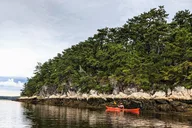 Casco Bay Sea Kayak Tour Half-Day thumbnail 4