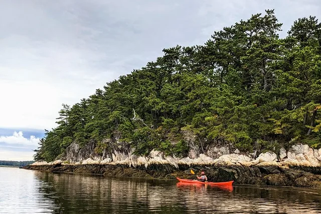 Casco Bay Sea Kayak Tour Half-Day - Image 4
