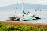 Kaanapali West Maui Snorkeling Tour with Drinks thumbnail 6