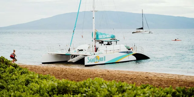 Kaanapali West Maui Snorkeling Tour with Drinks - Image 6