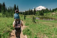 Seattle Mount Rainier National Park Private Tour thumbnail 6