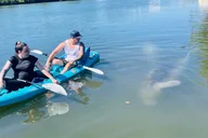 Merritt Island Dolphin and Manatee Adventure Tour thumbnail 3