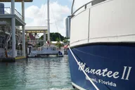 Miami Private Boat Cruise with Captain 2 hr thumbnail 2