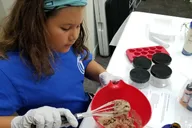 Body Scrub Making Class thumbnail 3