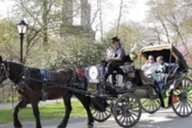 New York City Central Park Horse Carriage Ride 45 Min thumbnail 3