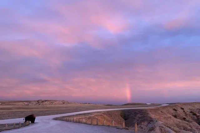 Badlands National Park Wildlife and Scenic Tour - Image 4