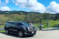 San Francisco to Sonoma Private Transfer thumbnail 3