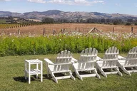 Healdsburg Wine Country Bike and Tasting Tour thumbnail 5