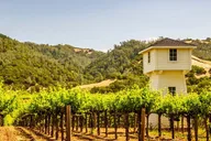 Sonoma Self-Guided Tasting Tour thumbnail 4
