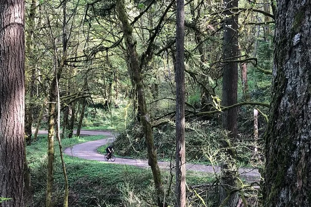 Portland Gravel Bike and E-Bike Tour in Forest Park - Image 1