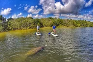 Jupiter Paddle Boarding Eco Adventure thumbnail 6