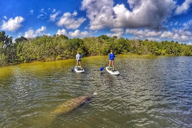 Jupiter Paddle Boarding Eco Adventure - Image 6