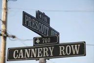 San Francisco Monterey and Carmel Day Trip thumbnail 5