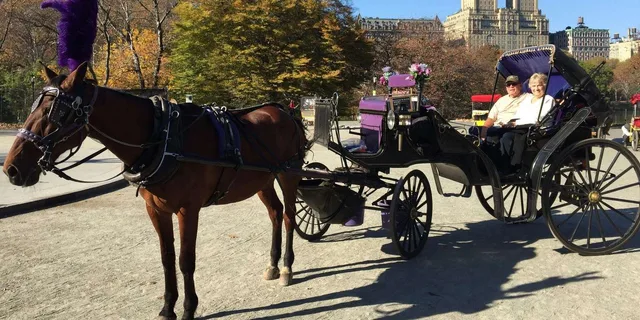 New York Central Park Horse Carriage Ride - Image 1