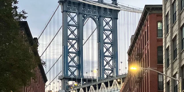 New York Brooklyn Bridge and DUMBO Walking Tour - Image 3