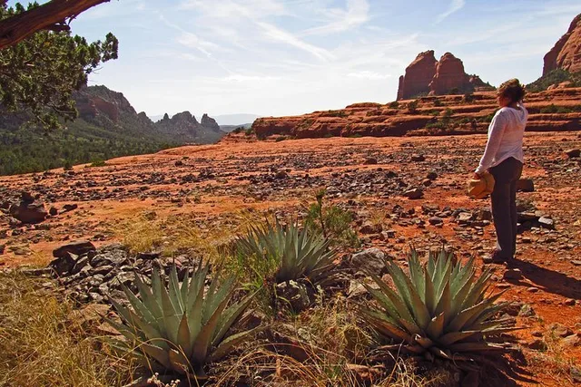 Sedona Vortex Experience - Image 5