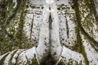 Galveston Haunted Cemetery Walking Tour thumbnail 1