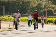Healdsburg Electric Bike Wine Tour thumbnail 4