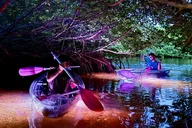 Key West Night Kayak Adventure in Luminous Lagoon thumbnail 2