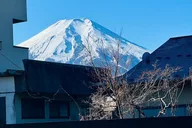 Tokyo Mount Fuji & Hakone Private Tour thumbnail 5
