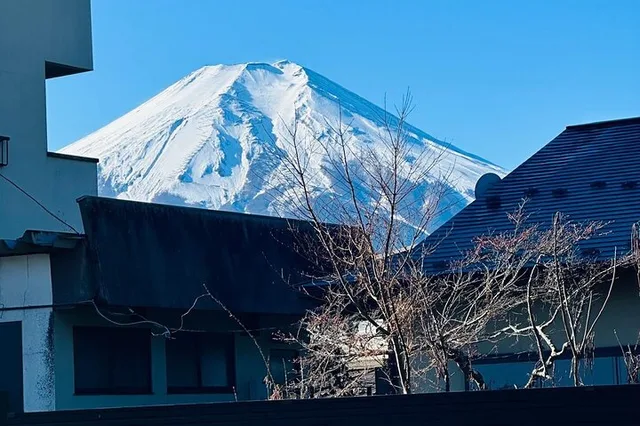 Tokyo Mount Fuji & Hakone Private Tour - Image 5