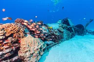 Honolulu Scuba Diving Experience thumbnail 3