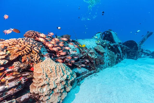 Honolulu Scuba Diving Experience - Image 3