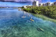 Jupiter Island Paddle Boarding Tour thumbnail 4