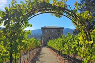 Napa Valley Private Wine Tour thumbnail 1