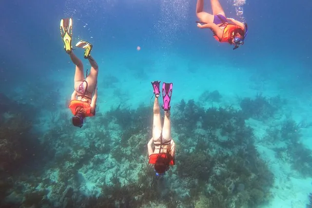 Key Largo Reef Snorkel Tour - Image 2