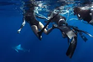 Haleiwa Shark Dive Private Charter thumbnail 2