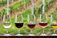 Austin Hill Country Wine Shuttle thumbnail 2