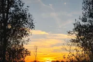 Orlando Sunset Guided Kayak Tour thumbnail 2
