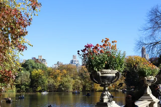 New York City Central Park Scenic Walk - Image 1