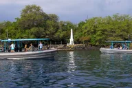 Kona Coast Snorkeling Tour with Lunch 4.5 hr thumbnail 3