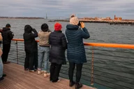 New York City Winter Wildlife Boat Tour thumbnail 4