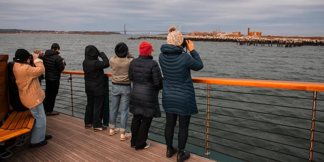 New York City Winter Wildlife Boat Tour - Image 4