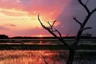 Hilton Head Island Dolphin Cruise at Sunset thumbnail 3