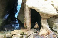 San Diego Guided Day Trip from Orange County thumbnail 4