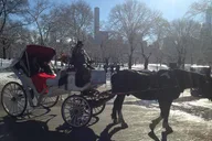 New York City Jewish Colonial History Walking Tour thumbnail 4
