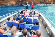 Maui Snorkeling Adventure at Molokini and Turtle Sites thumbnail 1