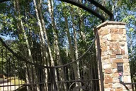 Park City Urban Art and Historical E-Bike Tour thumbnail 3