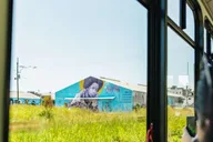 New Orleans Sightseeing Bus Tour thumbnail 1