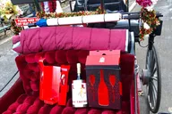New York Central Park Champagne Carriage Tour 50 min thumbnail 5