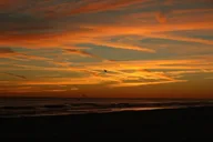 Destin Dolphin Watching Cruise at Sunset 45 min thumbnail 2