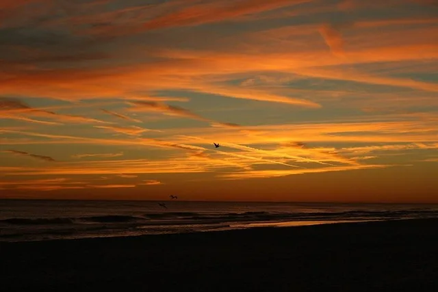 Destin Dolphin Watching Cruise at Sunset 45 min - Image 2