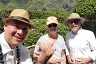 Honolulu Circle Island Tour with Dole and Rum Distillery thumbnail 4