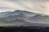 Kahului Tropics and Rainforest Private Tour thumbnail 5